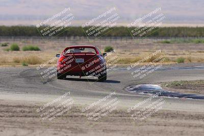 media/Oct-04-2025-OnGrid (Sat) [[44bd565ffa]]/Purple Group/Grapevine/